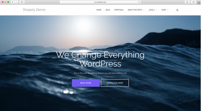WordPress theme free shapely
