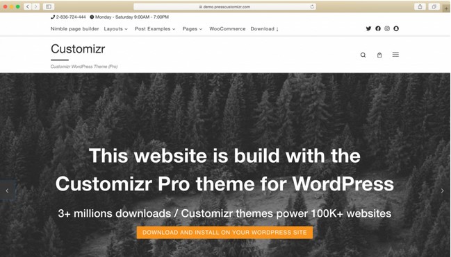 Theme WordPress customizr