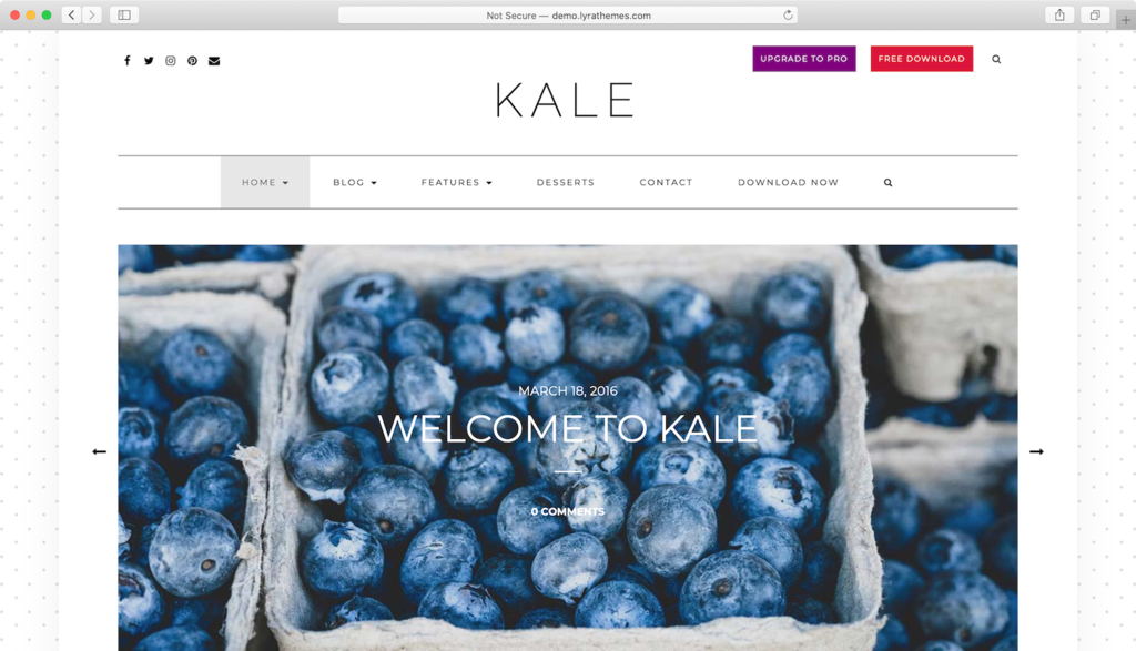 Free WordPress theme Kale