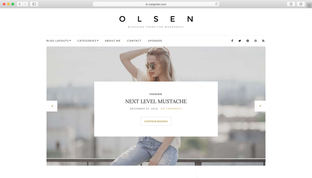 Olsen Lite WordPress theme.