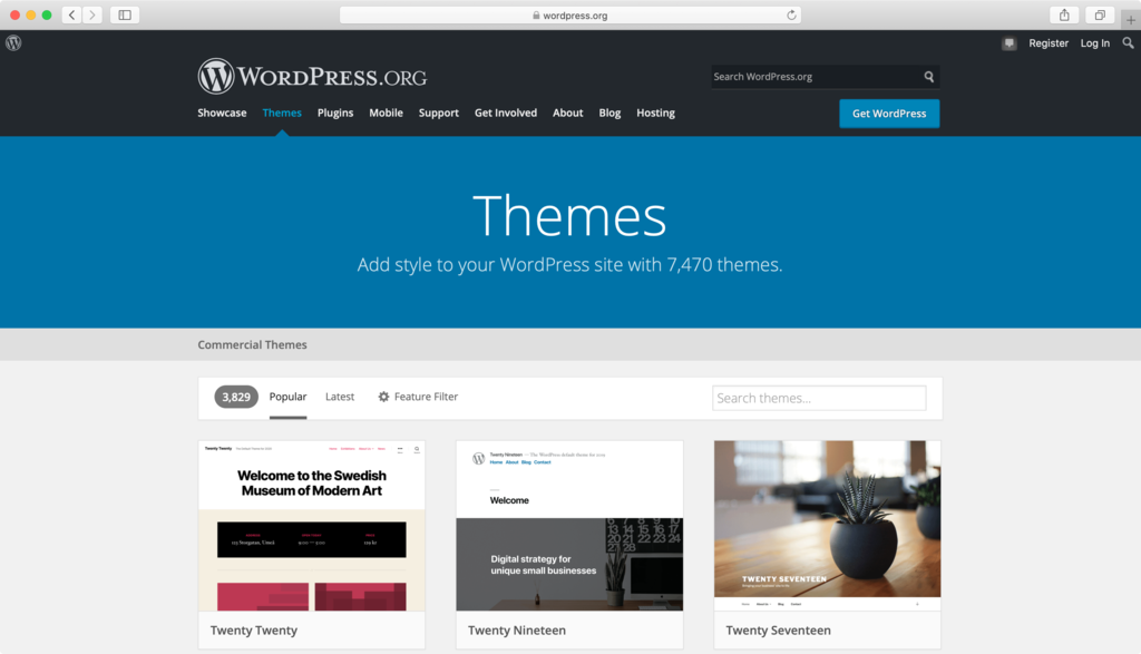 truy cập qua thư mục WordPress theem chính thức