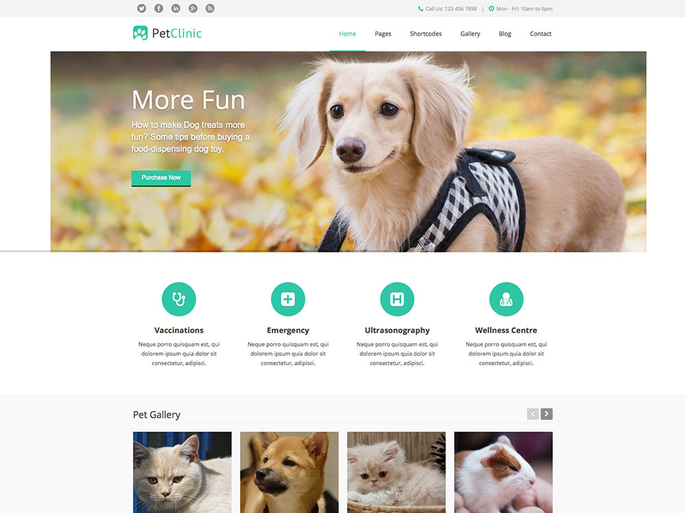 Mẫu thiết kế website thú cưng, cửa hàng bán và chăm sóc chó mèo